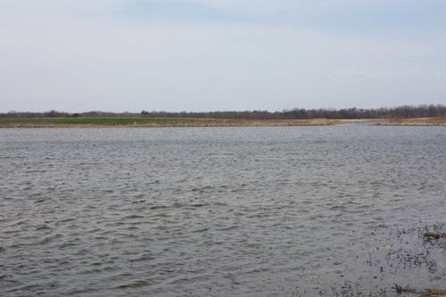 Property photo 6 - 194.67 Acres Offered in 2 Tracts